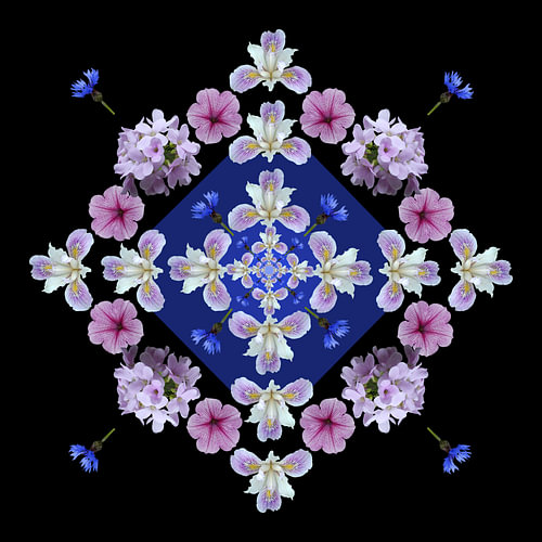 fleurs