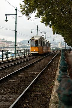 Gelbe Straßenbahn im Herzen von Budapest von Nynke Altenburg