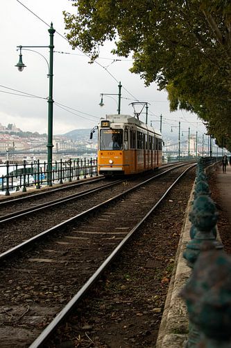 Le tramway jaune au cœur de Budapest