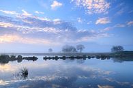 Wolkendecke im Inland von Sander van der Werf Miniaturansicht