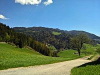 Weg in den Alpen