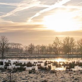 de meersen na de regenval van Kay Mezarina Photography