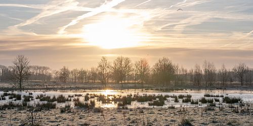les lacs après la pluie