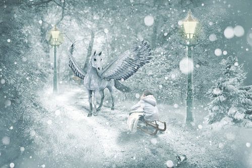 Little boy dreaming van .  cathenco