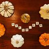 verschillende soorten pompoenen en sierkalabassen met halloween van Margriet Hulsker