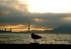 Golden Gate, San Francisco, California by Samantha Phung