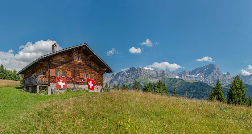 Mountain hut decorated with swiss flags, Gryon, Canton Vaud, Switzerland by Rene van der Meer