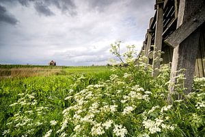 Der alte Hafen der Weltkulturerbe-Insel Schokland