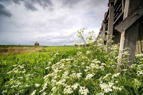 De oude haven van het werelderfgoed eiland Schokland