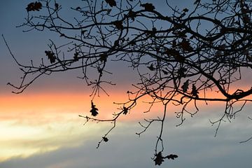 Zonsondergang - deel 1 van Miranda de Lange