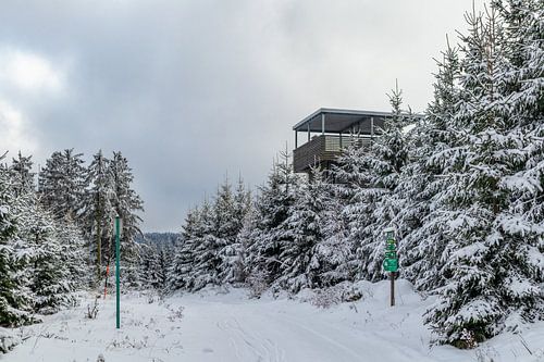 Eerste winterwandeling op de Rennsteig