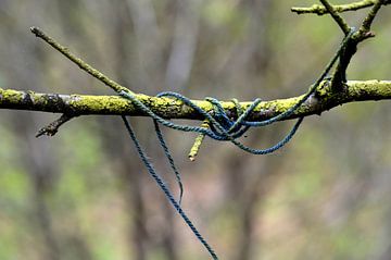 String attached von Onno van Kuik