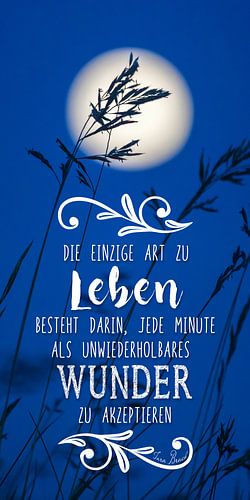 Woorden van wijsheid: De enige manier om te leven ... Tara Brach