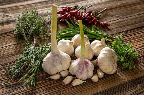Herbes méditerranéennes : ail, piment et romarin