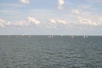 Sailors on the IJsselmeer