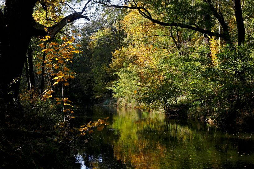 Spreewald von Thomas Jäger