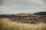 West chimney dune landscape by Nancy van Verseveld thumbnail