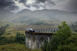 The Jacobite - Harry Potter trein von Mart Houtman