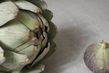 The artichoke & the fig by Kim Langbroek