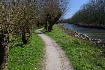 Ein Weg in den Rhoon-Pilotwalen
