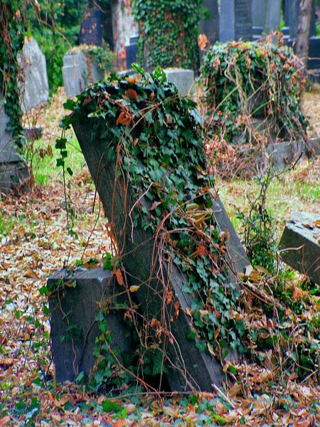 Friedhof 03 par Ilona Picha-Höberth