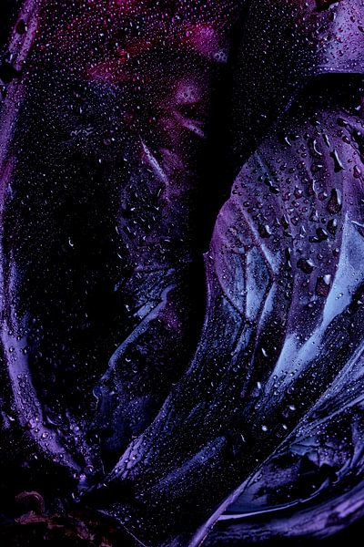 Detail von Rotkohl von Willy Sengers
