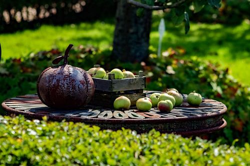 Obst