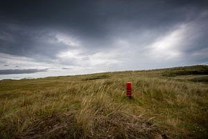 Pfahl in den Dünen von Ameland