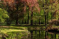 Boszicht Liesbos