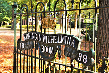 Koningin Wilhelmina Boom in Muiderberg
