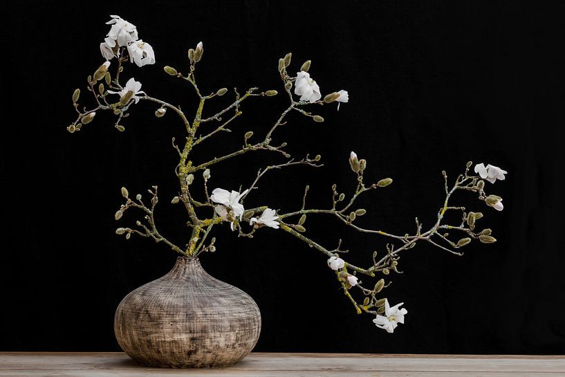 magnolia  in vaas van Klaartje Majoor