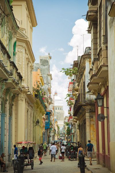 Havana by Hello Pompoyo