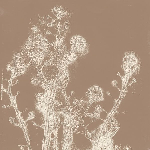 Zomerbloemen. Japandi botanische kunst in bruin en wit. van Dina Dankers