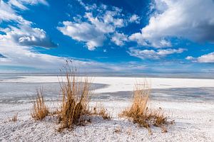 IJskoud, zonnig strand aan het IJsselmeer
