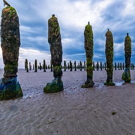 Mussel Bank by Angelique Niehorster