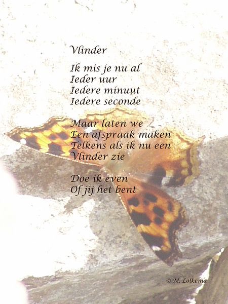 Vlinder by M Lolkema