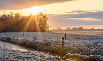 winter sunlight by Tania Perneel