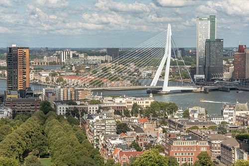 De Erasmusbrug in Rotterdam van Thea de Ruijter
