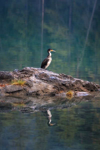 Reflections of Solitude in Eibsee Germany by Arda Acar