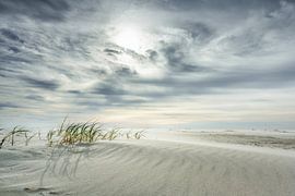 Amrum IV sur Axel Ellerhorst