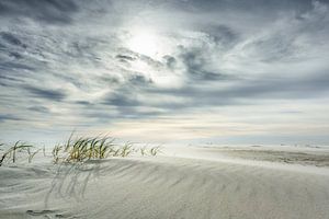 Amrum IV