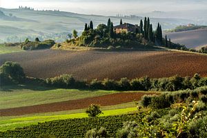 Vue sur le Val d'Orcia en Toscane.