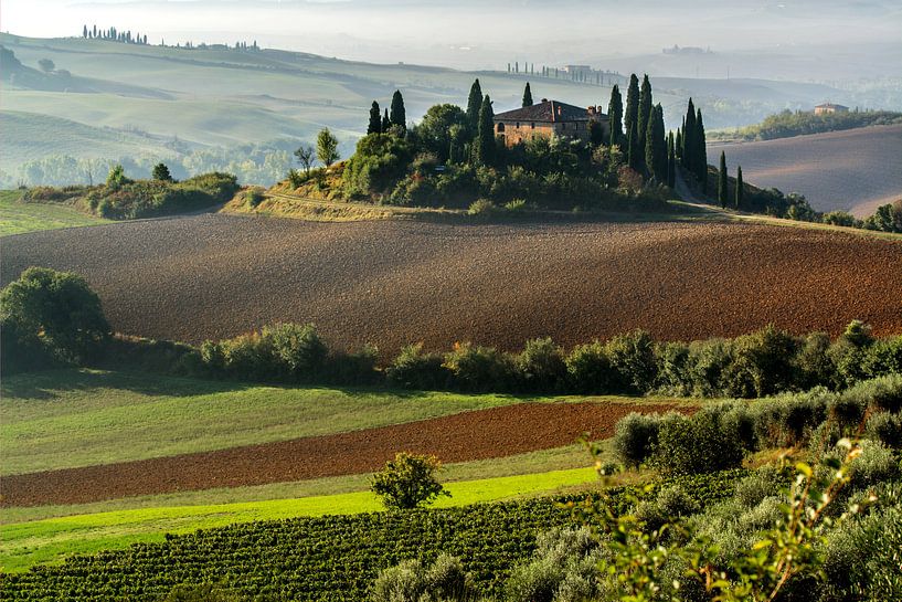 View of Val d'Orcia in Tuscany. by Filip Staes