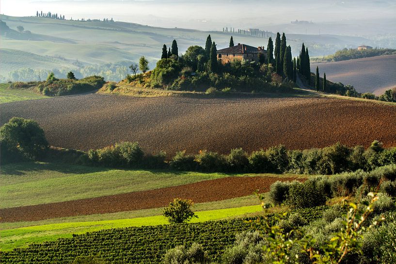 Blick auf das Val d'Orcia in der Toskana. von Filip Staes