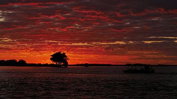 Fantastische zonsondergang over de Chobe rivier van Timon Schneider