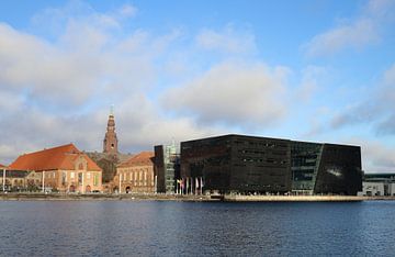 Black Diamond Copenhagen - Library
