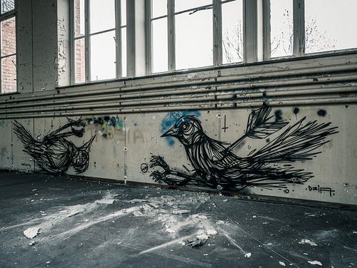 Verlaten School, België - Urbex / Verval / Oud / Graffiti / Street Art / Dier / Universiteit / Vogel