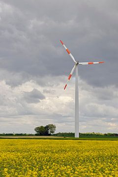 Wind turbine above a field of flowering yellow oilseed rape, renewable energy by wunderbare Erde