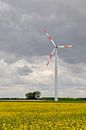 Wind turbine above a field of flowering yellow oilseed rape, renewable energy by wunderbare Erde thumbnail