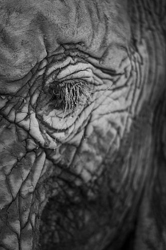 Beauty is in the eye of the beholder